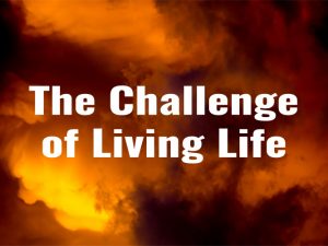Living Life: Spiritual Being, Social Creature, and Consuming Organism